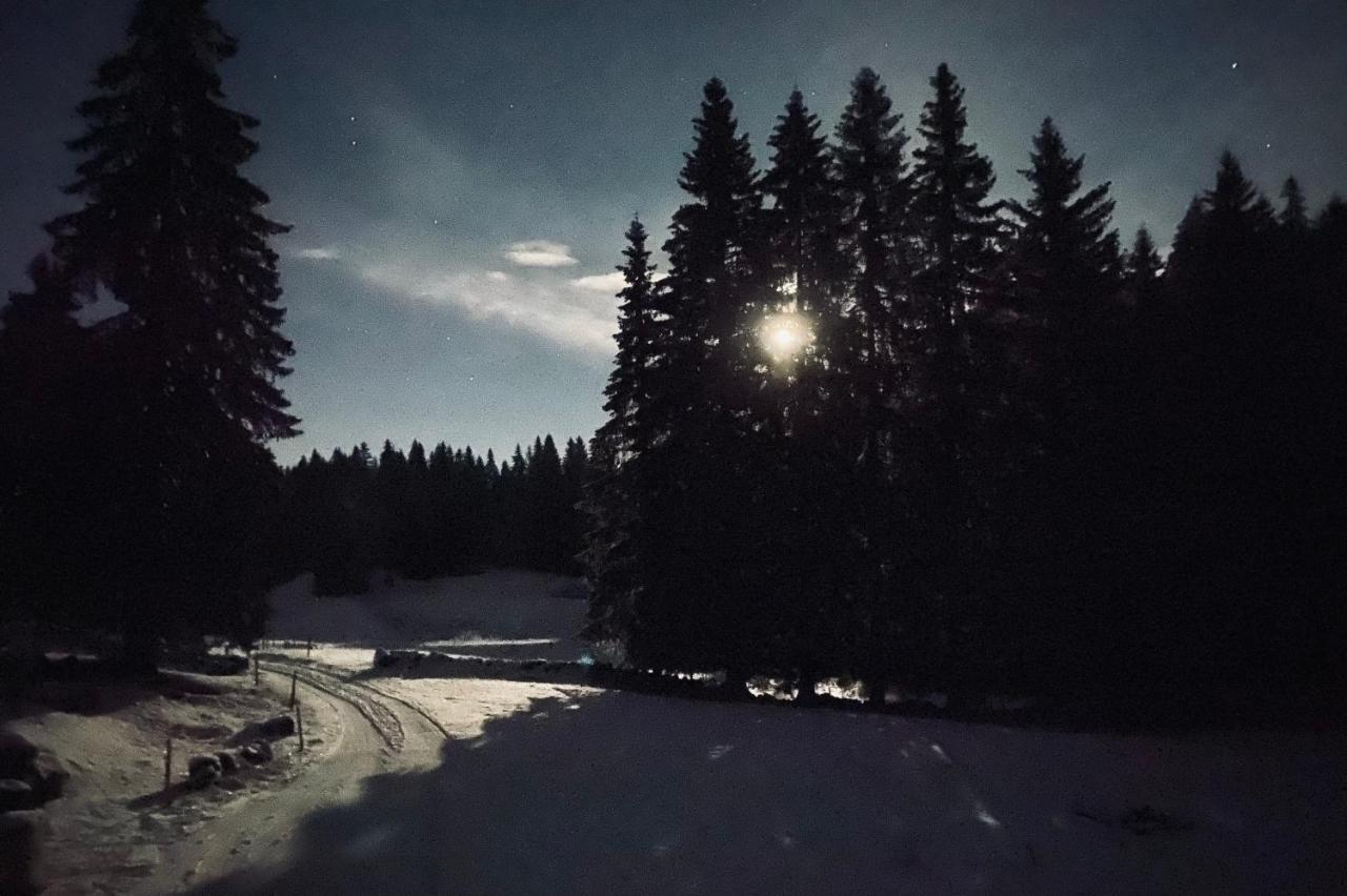 La Loge De La Dolarde - Chambre Nord-Est Hotell Prémanon Exteriör bild