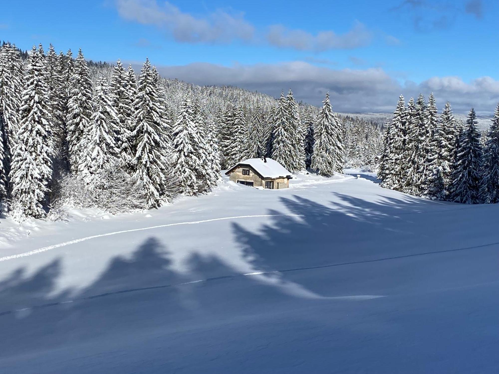 La Loge De La Dolarde - Chambre Nord-Est Hotell Prémanon Exteriör bild